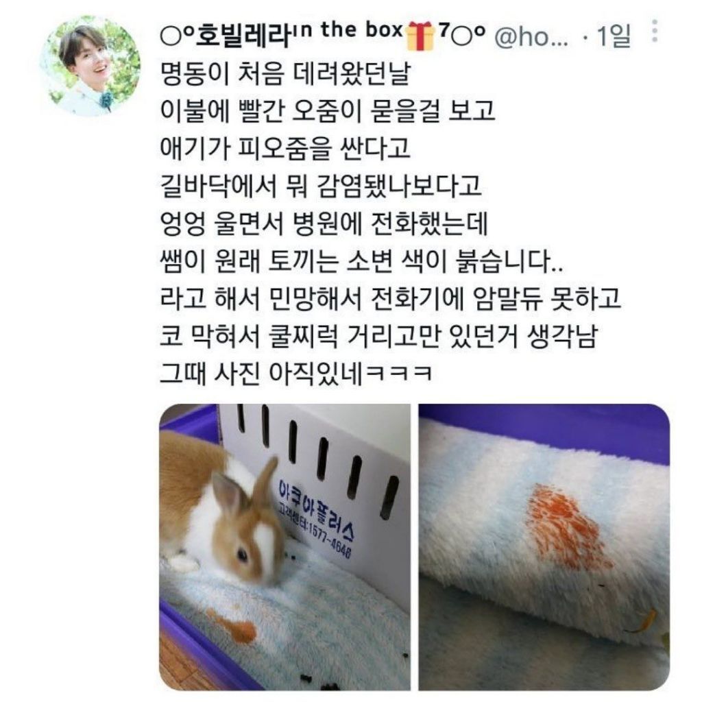 난 이런 스토리가 너무 좋아 불안해서 병원 데려갔더니... | 인스티즈