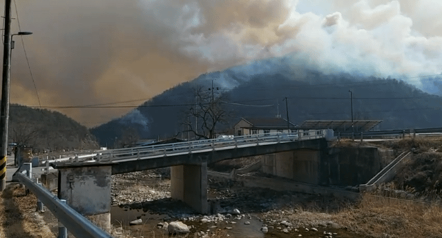 울진 대형 산불 | 인스티즈