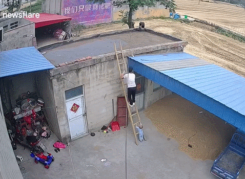 아기에게서 한눈팔지 말아야 하는 이유 | 인스티즈