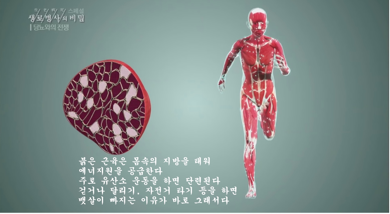 당뇨를 이긴 사람들의 운동법 | 인스티즈