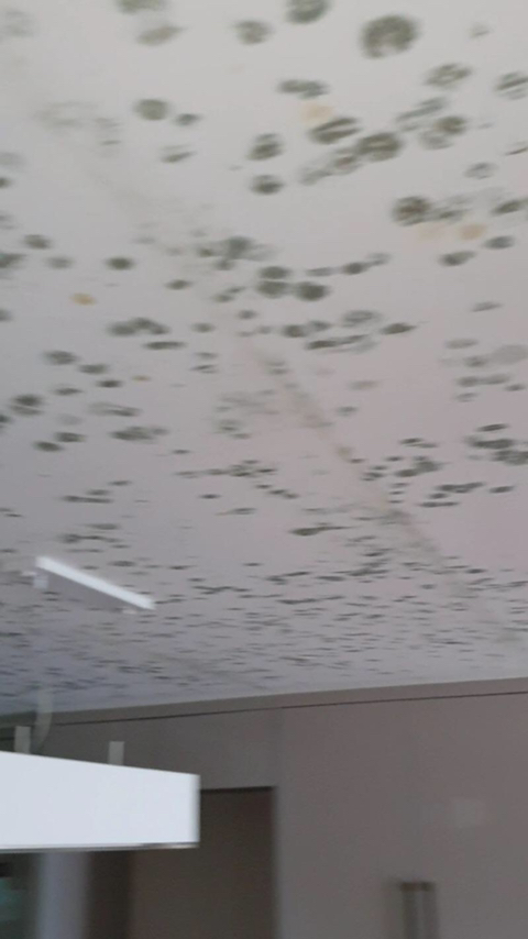 보배드림 역대급 아파트 하자 | 인스티즈