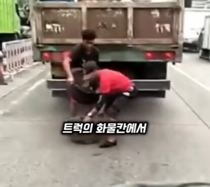 브라질의 독특한 트럭 문화.jpg | 인스티즈
