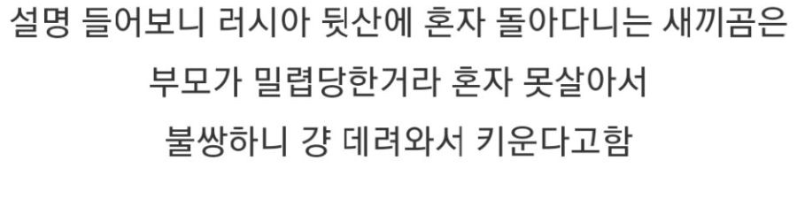 평범한 시골 러시아 여학생의 일상 | 인스티즈
