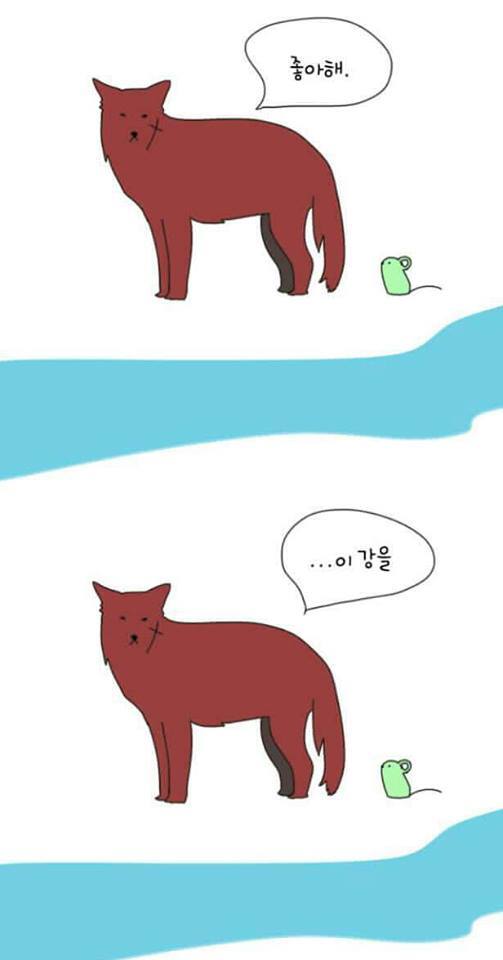 몰랑몰랑 이미지