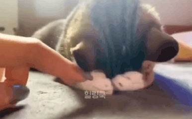나 진짜 삐졌다옹.. | 인스티즈