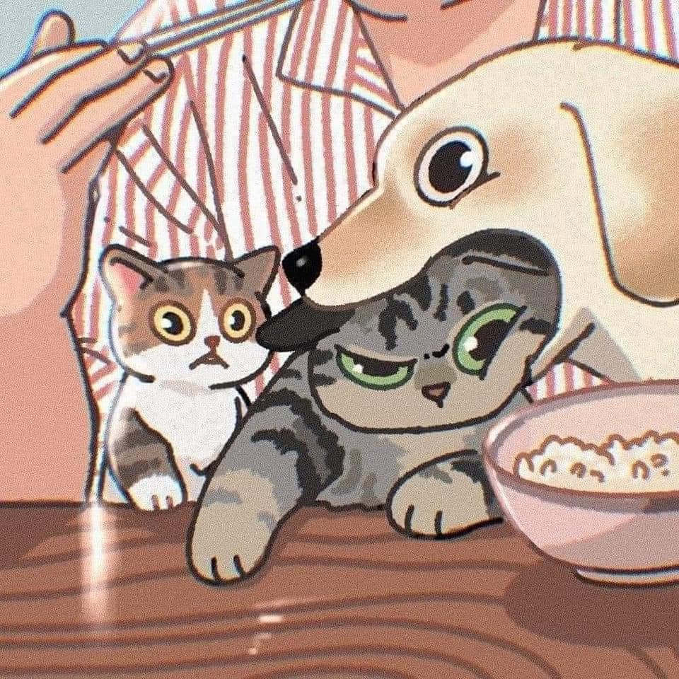 [귀여움대결] 고양이 그림 vs 사진 | 인스티즈