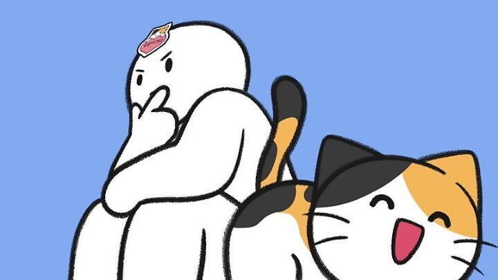 고양이가 집사에게 엉덩이를 들이미는 이유 5가지 | 인스티즈