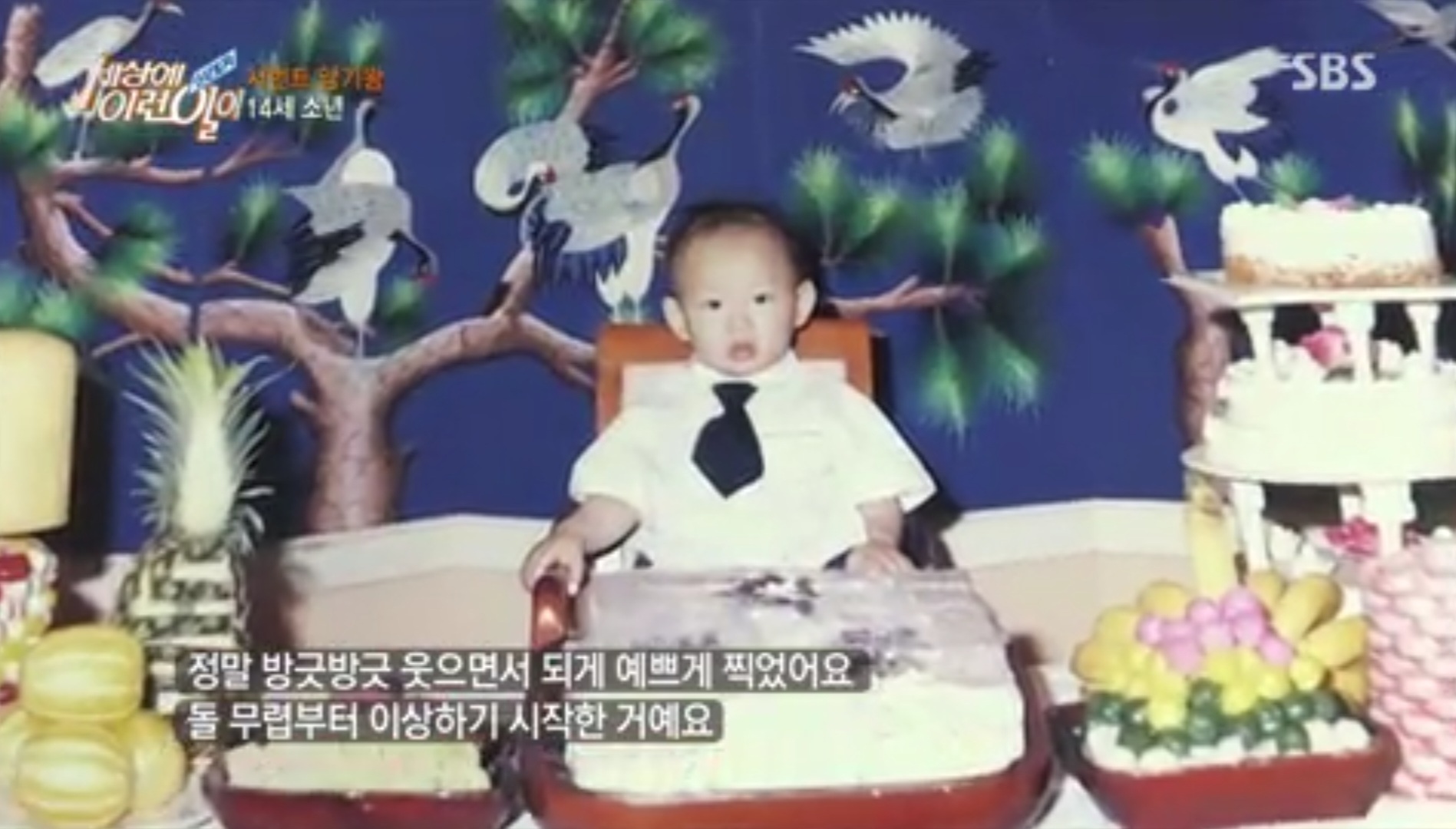 우영우 실사판 ㄷㄷ | 인스티즈