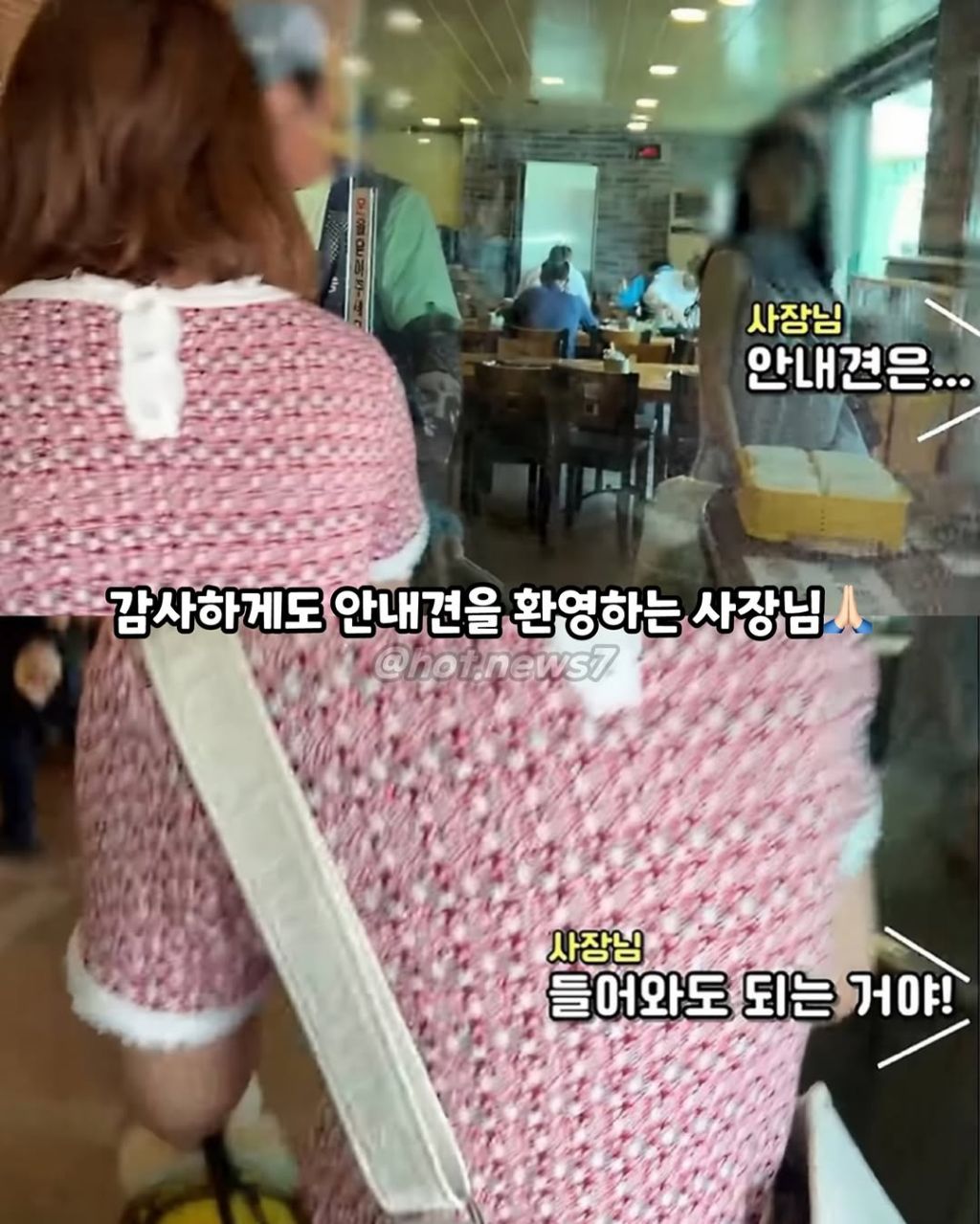 안내견보고 큰소리 내는 식당 | 인스티즈