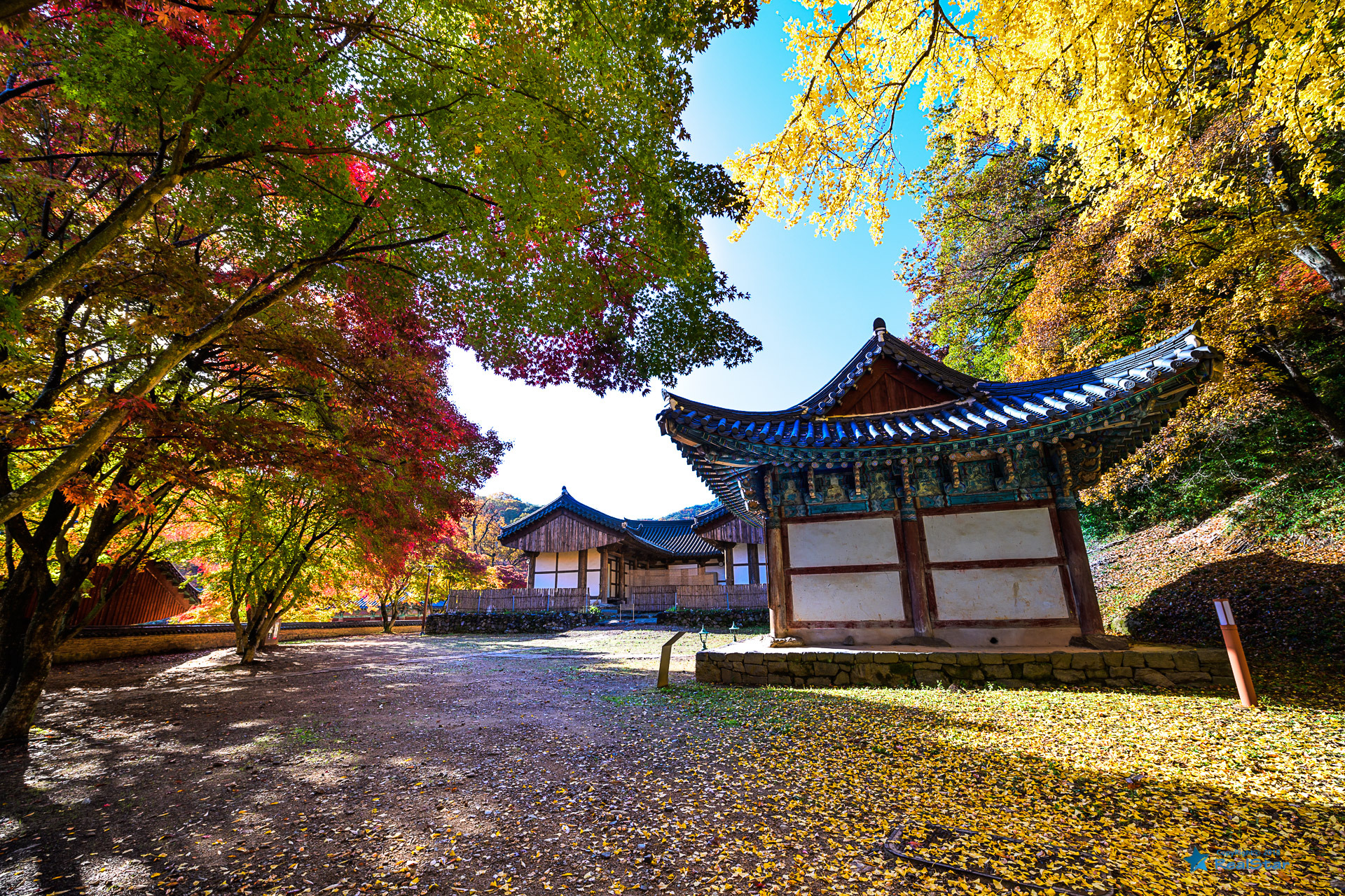 cc86efc56b855072ccd78d4fac579501c3ae2e0e