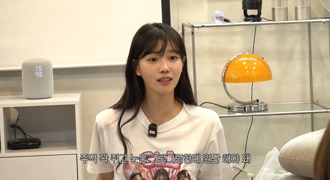 러블리즈 미주가 무대중에 발목인대 파열되고 회사한테 들었던 말 .jpg | 인스티즈