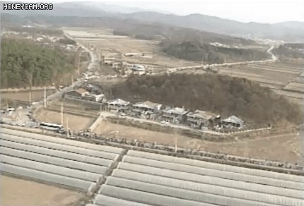 명절 대이동급이었다는 분당 신도시 모델하우스 오픈날 | 인스티즈