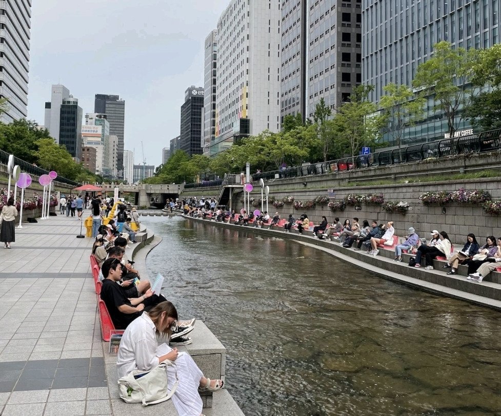 청계천 근황 | 인스티즈