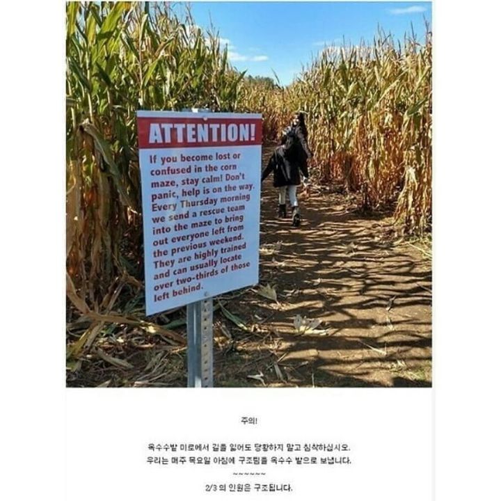 미국 옥수수 밭에서 실종되는 이유.jpg | 인스티즈
