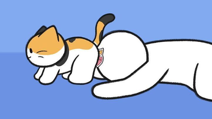 고양이가 집사에게 엉덩이를 들이미는 이유 5가지 | 인스티즈