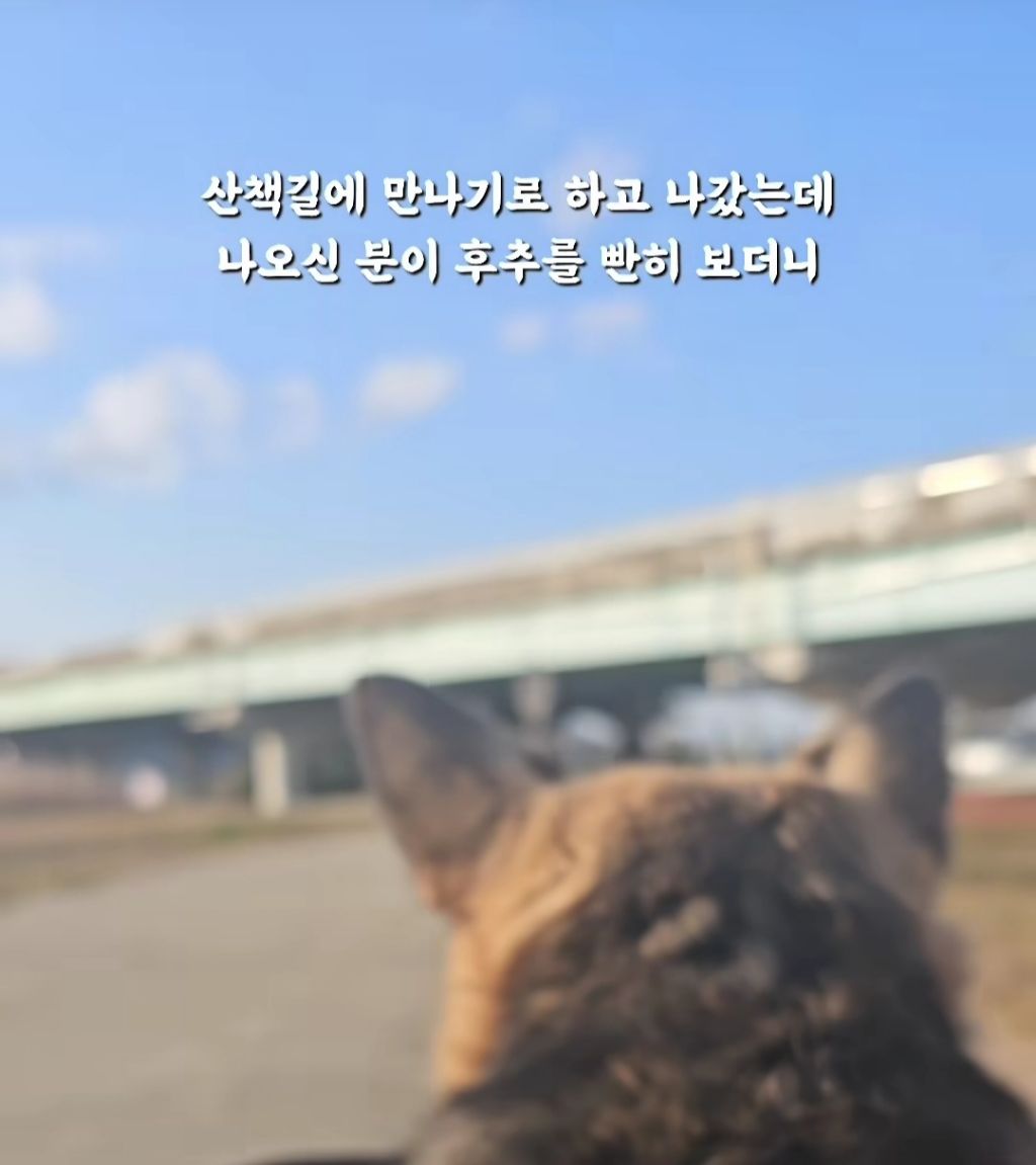 얘 믹스에요? 얘가 먹던거에요? | 인스티즈