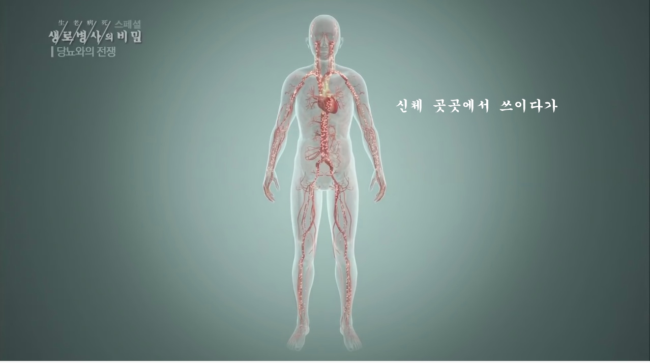 당뇨를 이긴 사람들의 운동법 | 인스티즈