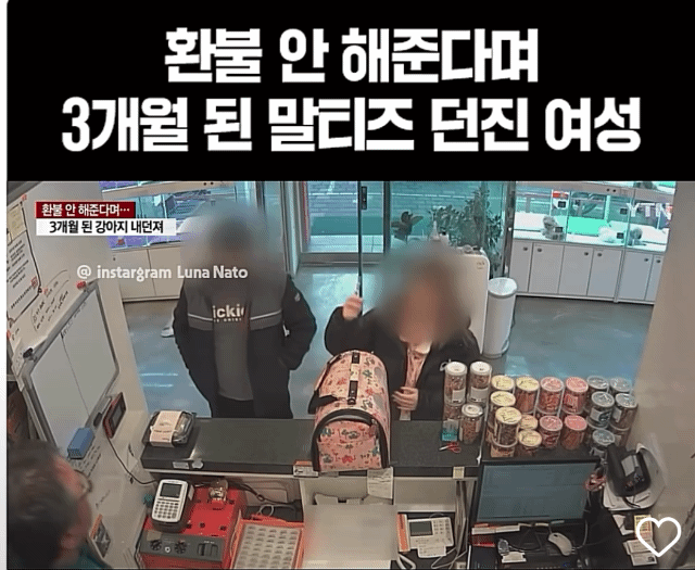 환불 불가에 구매했던 강아지 던진 여자 | 인스티즈