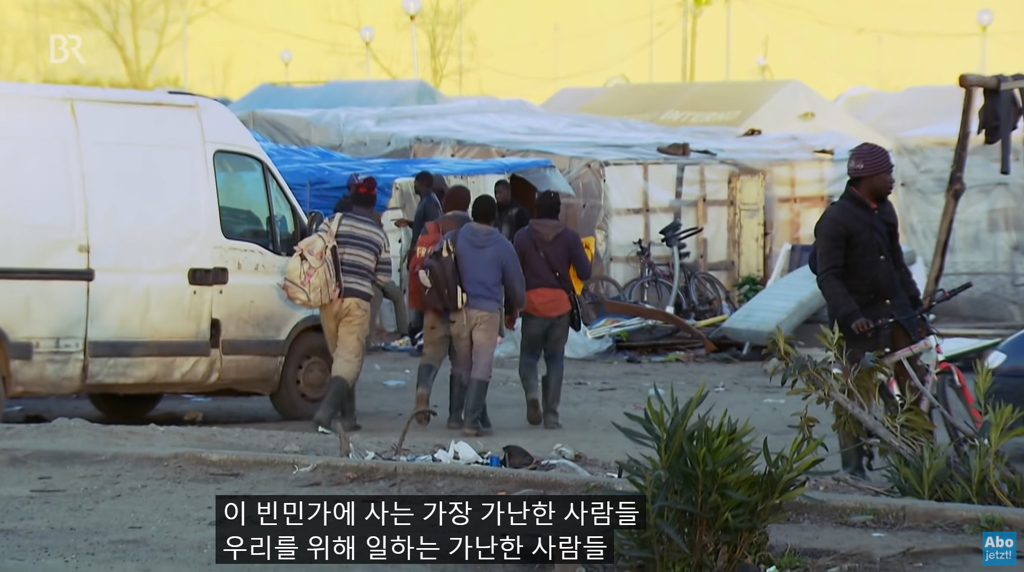 유럽의 저렴한 과일, 채소물가의 비결.jpg | 인스티즈