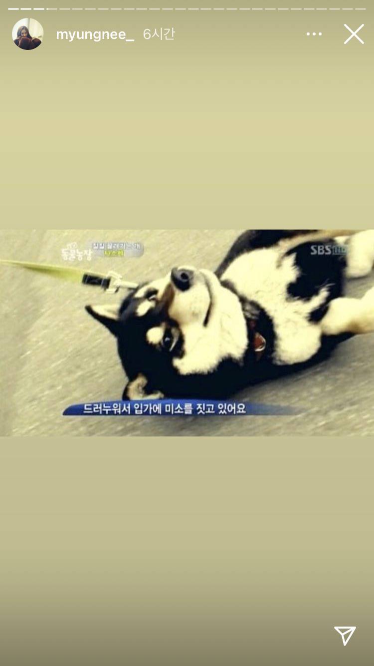 도레미마켓에 나온 태연 보고 인스타에 주접 짤 올리면서 폭주하는 어느 태연 덕후 | 인스티즈