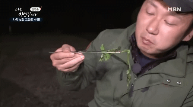 된장숙성삼겹살 이미지