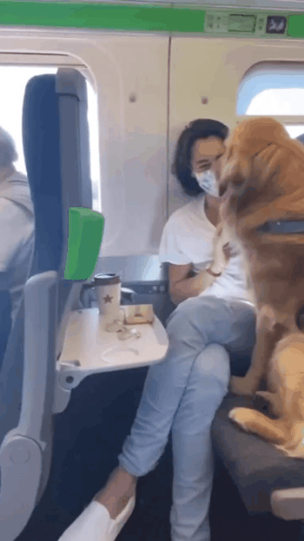 기차에서 만난 사람들하고 다 친해진 인절미 | 인스티즈