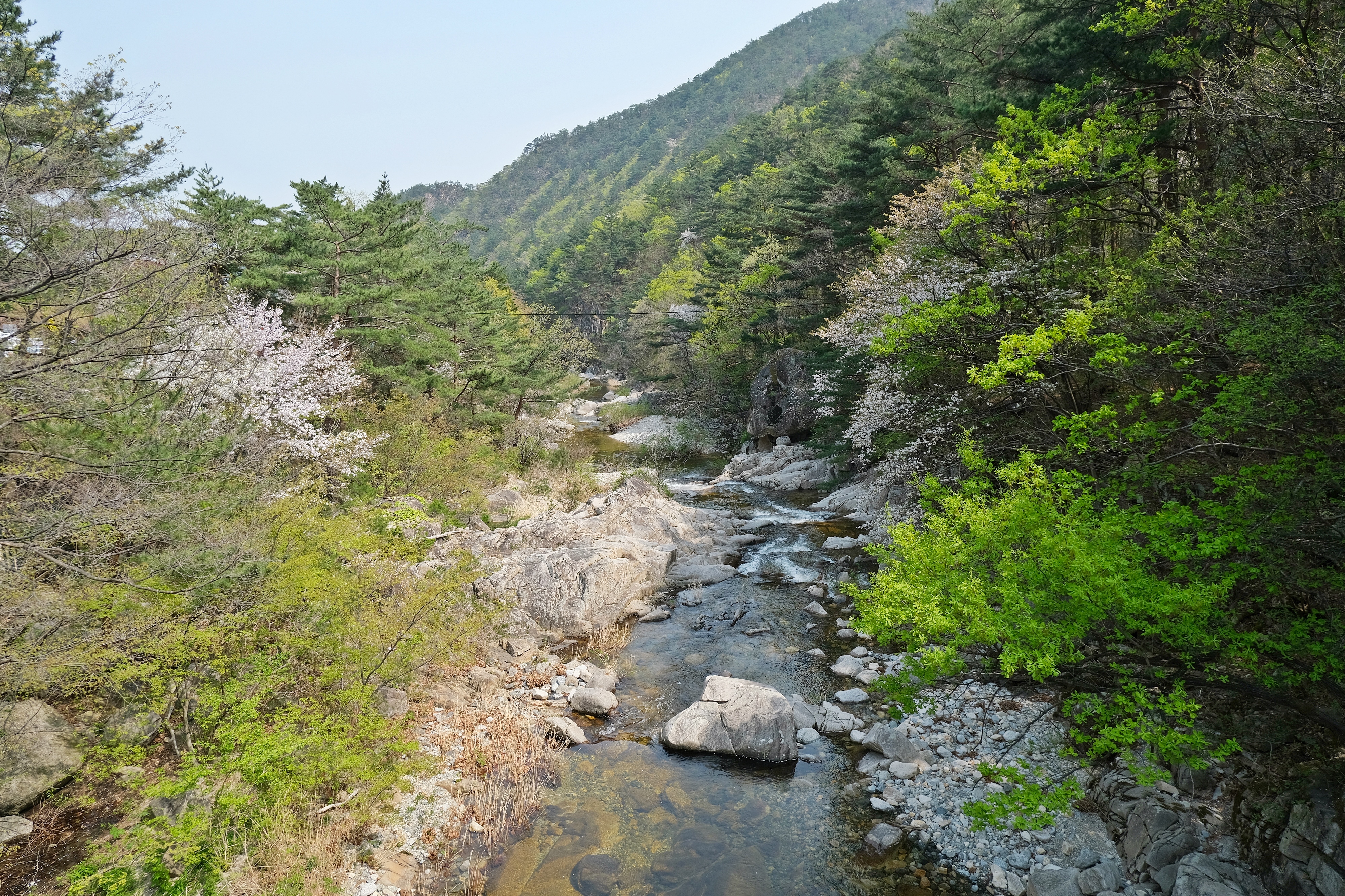 무릉계곡 전경 2