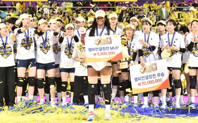모마 이미지