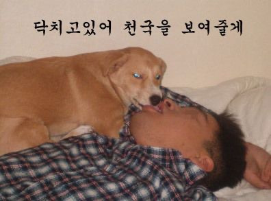 다들 이미지