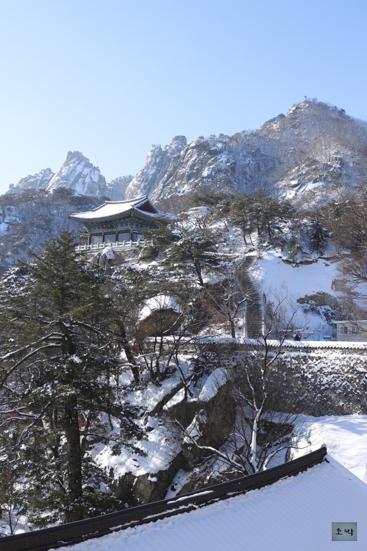 dc25f503a40a793231a7030ff147473cc3b5f1d5