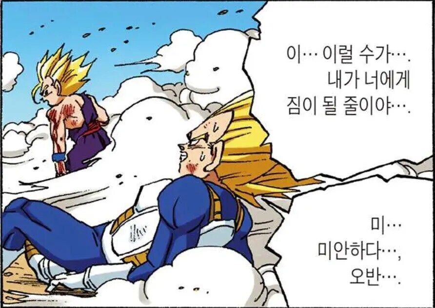 바라기 이미지