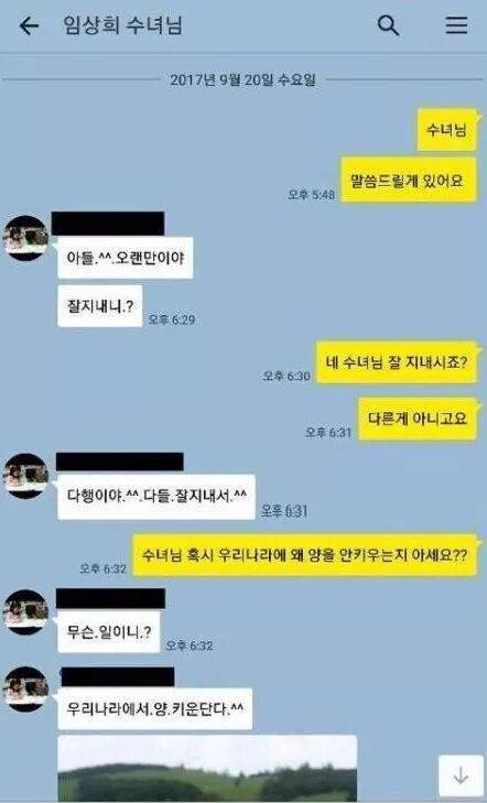 우리나라에서 양 키우기 어려운 이유 | 인스티즈