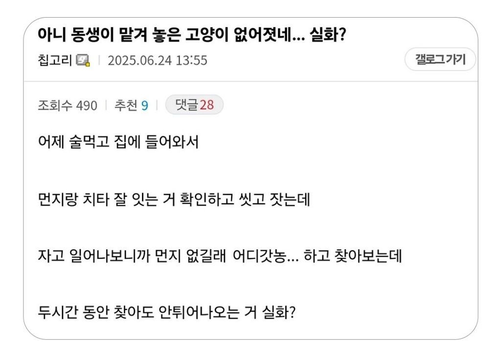 동생이 맡겨 놓은 고양이 잃어버린 디시인