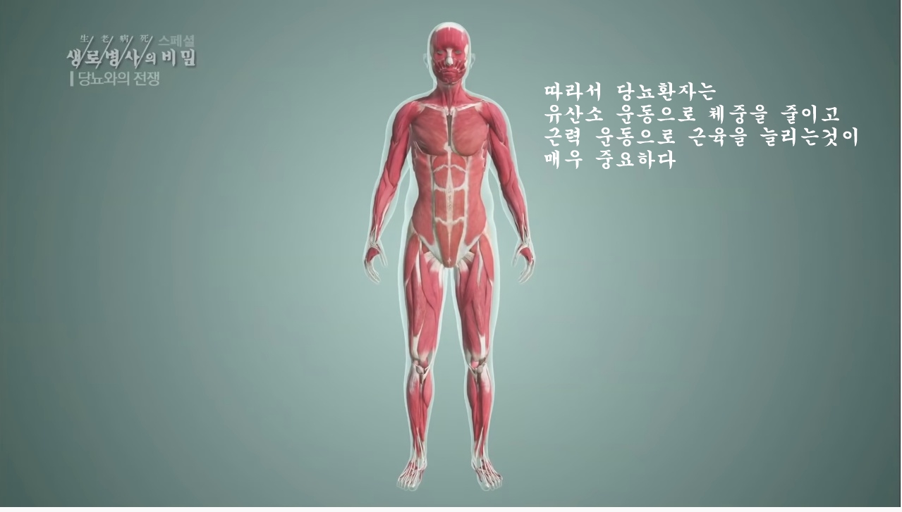 당뇨를 이긴 사람들의 운동법 | 인스티즈