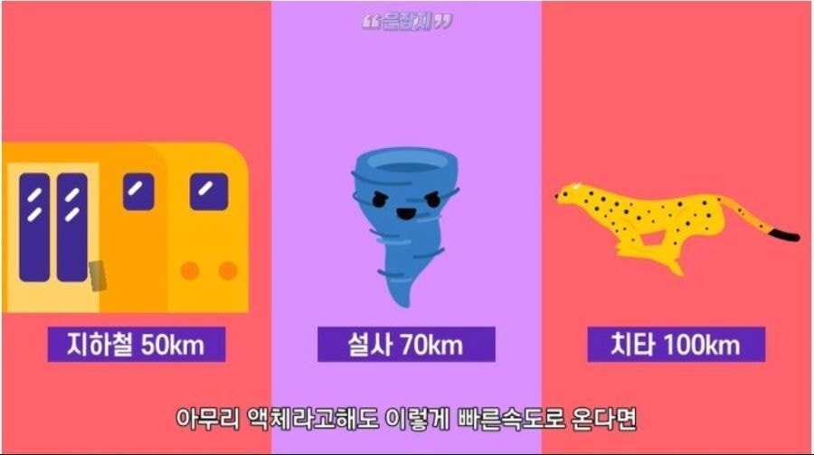 의외로 지하철보다 빠른것.jpg | 인스티즈