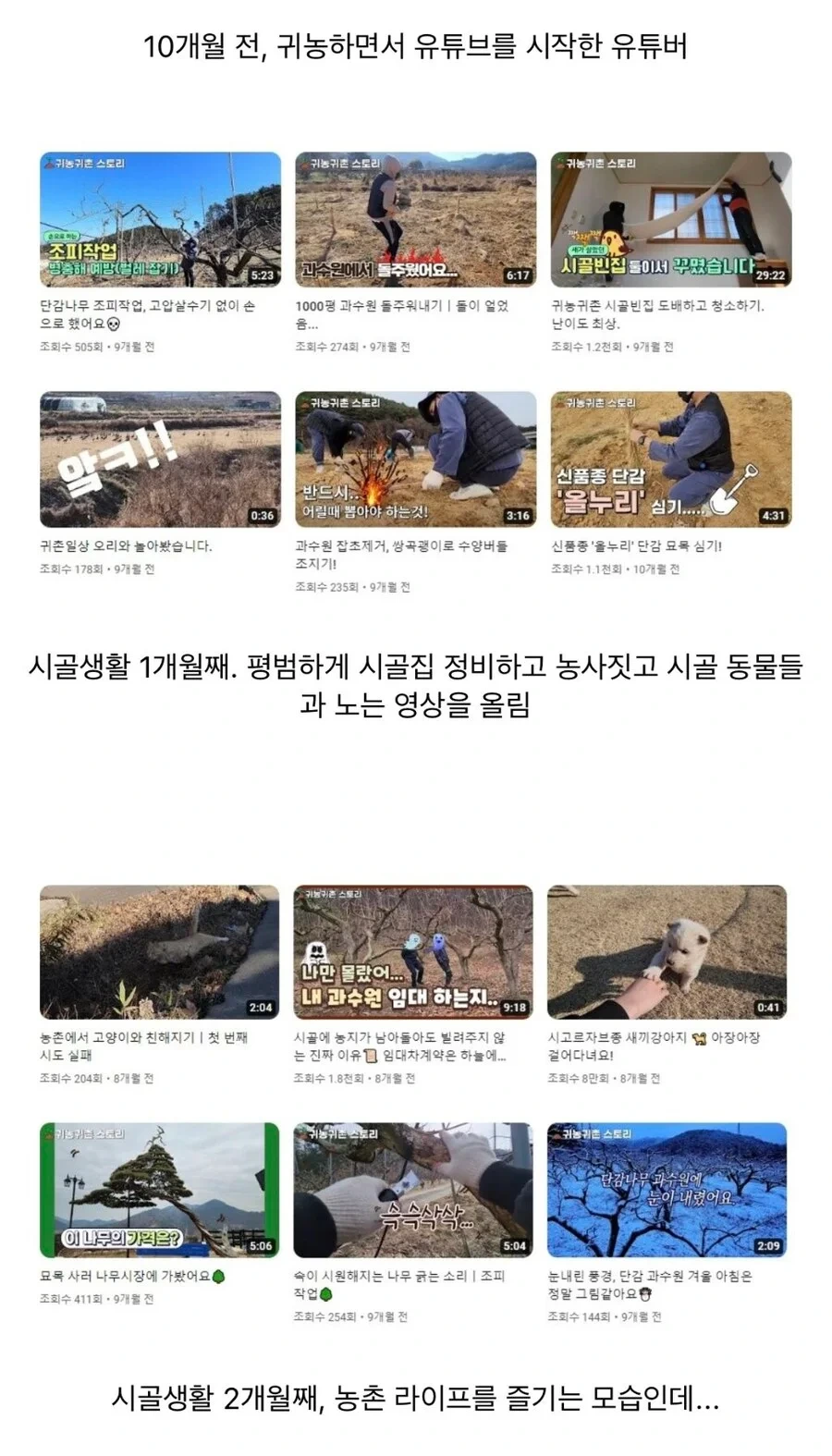 귀농한 유튜버의 컨텐츠 변화 | 인스티즈