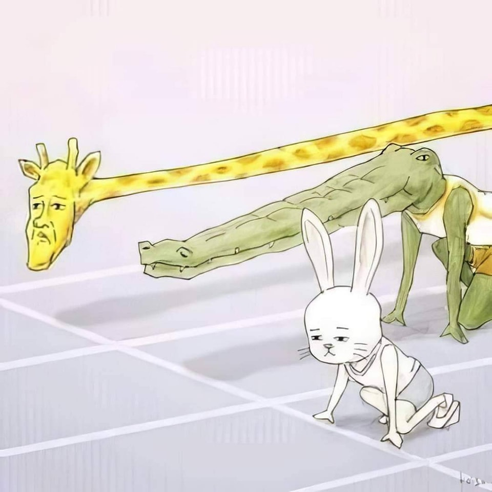 악어로 살면 생길 수 있는 문제들 | 인스티즈