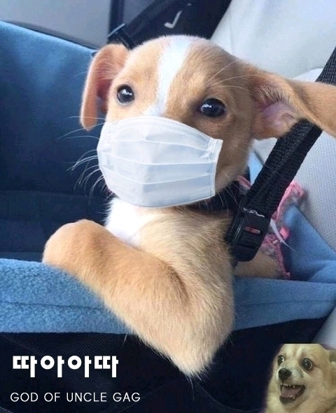 클린수 이미지