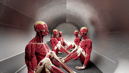 (혐주의) 타이탄호 내파 사건 시뮬레이션 | 인스티즈