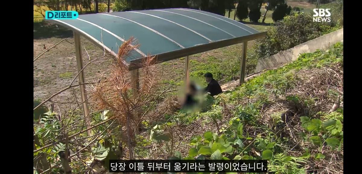 조합장에 말대꾸했다고 초등학생 딸과 떨어져 외딴 섬으로 발령난 농협 여직원 ㄷㄷ | 인스티즈