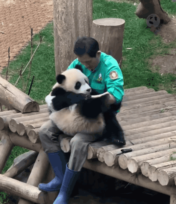 게시글 대표 이미지