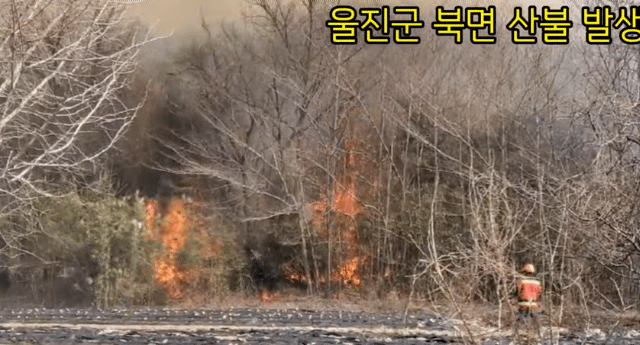 울진 대형 산불 | 인스티즈