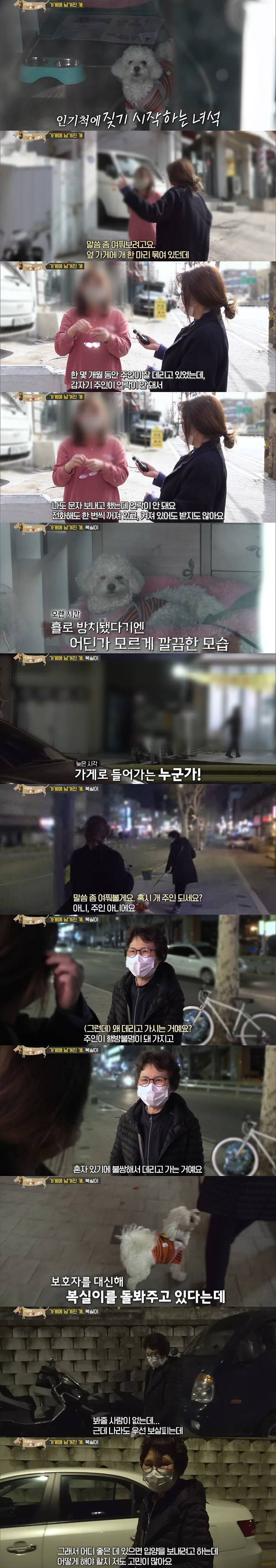 주인 없는 가게에 혼자 방치된 강아지 | 인스티즈