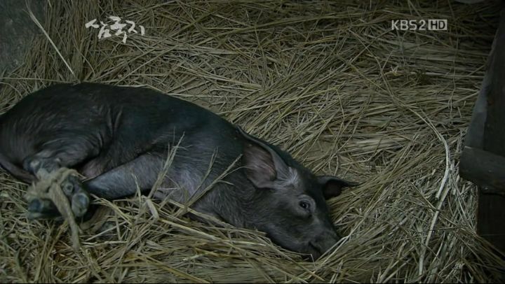삼국지 조조 여백사 사건 | 인스티즈