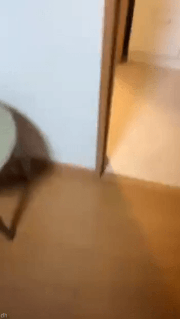 [깜놀주의] 비명 레전드 | 인스티즈