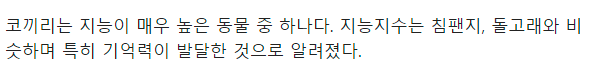 사람에게 무섭기만하다는 코끼리의 진실.gif | 인스티즈