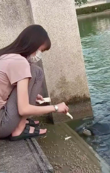 평화로운 거북이 밥주기 영상 | 인스티즈