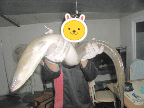 대물장어 이미지