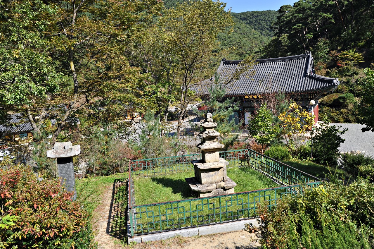 e9ccddfe24f2b3d9f13fb574faf6cd197d64c581