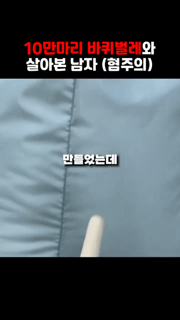 바퀴벌레 10만마리와 하루살면 1300만원 혐주의 | 인스티즈